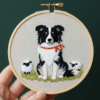 arafed-dog-red-collar-two-lambs-field