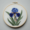 embroidery-blue-iris-flower-green-leaves-white-background