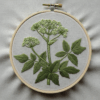 embroidery-plant-green-leaves-white-cloth